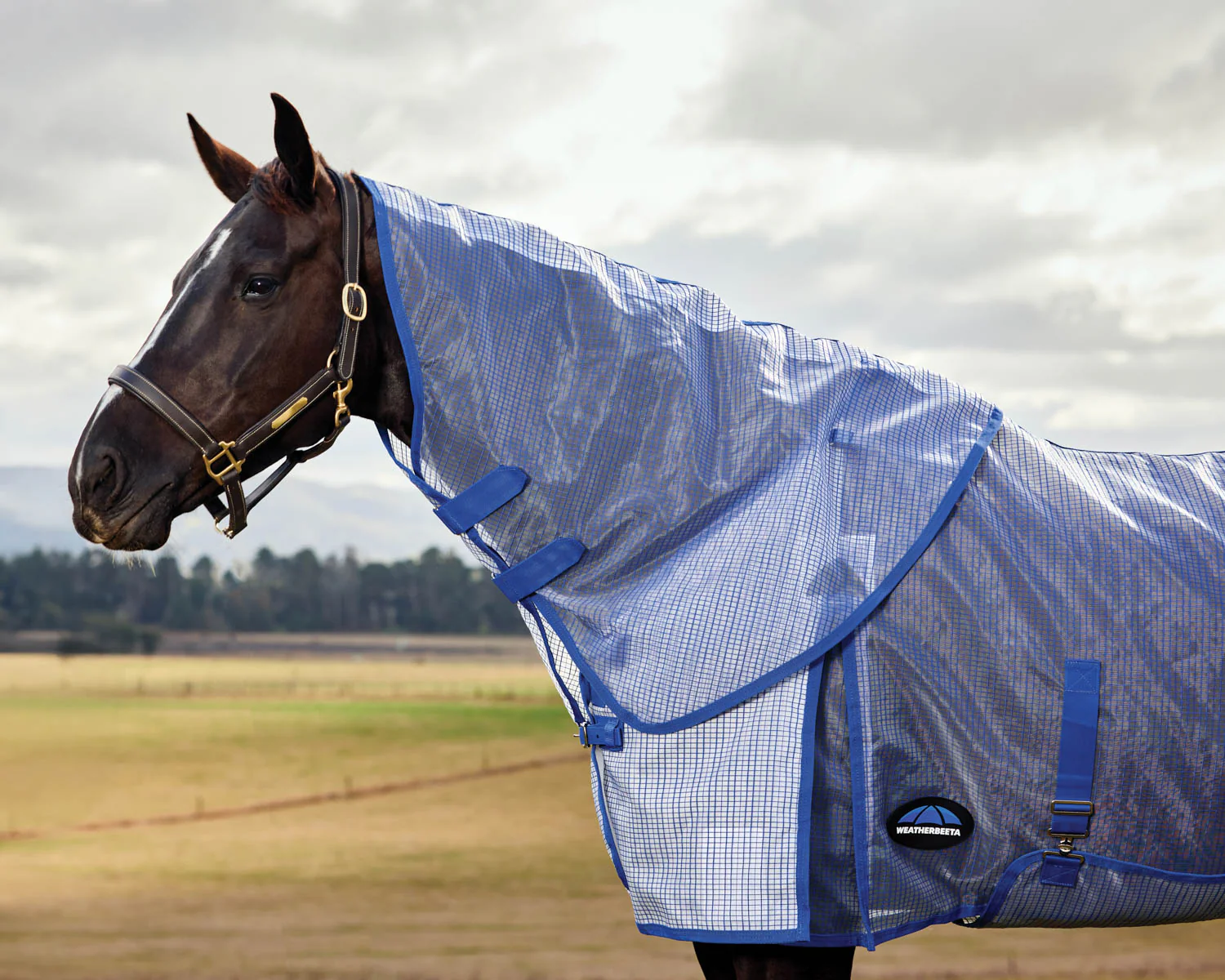 WeatherBeeta® ComFiTec™ Ripshield Detach-A-Neck Fly Sheet - Image 5