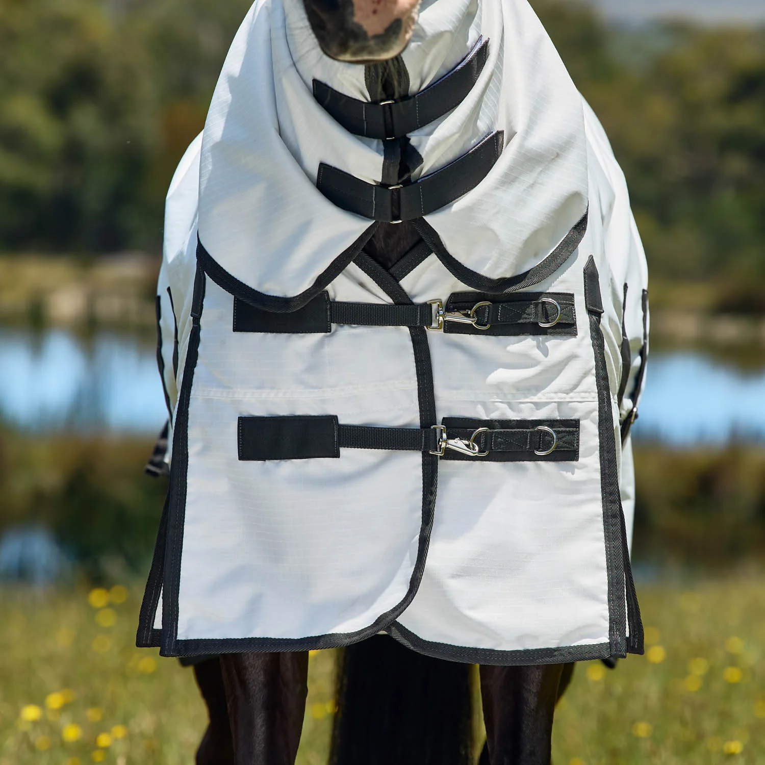 WeatherBeeta™ ComFiTec™ Sweet Itch Shield Fly Sheet Combo - Image 4