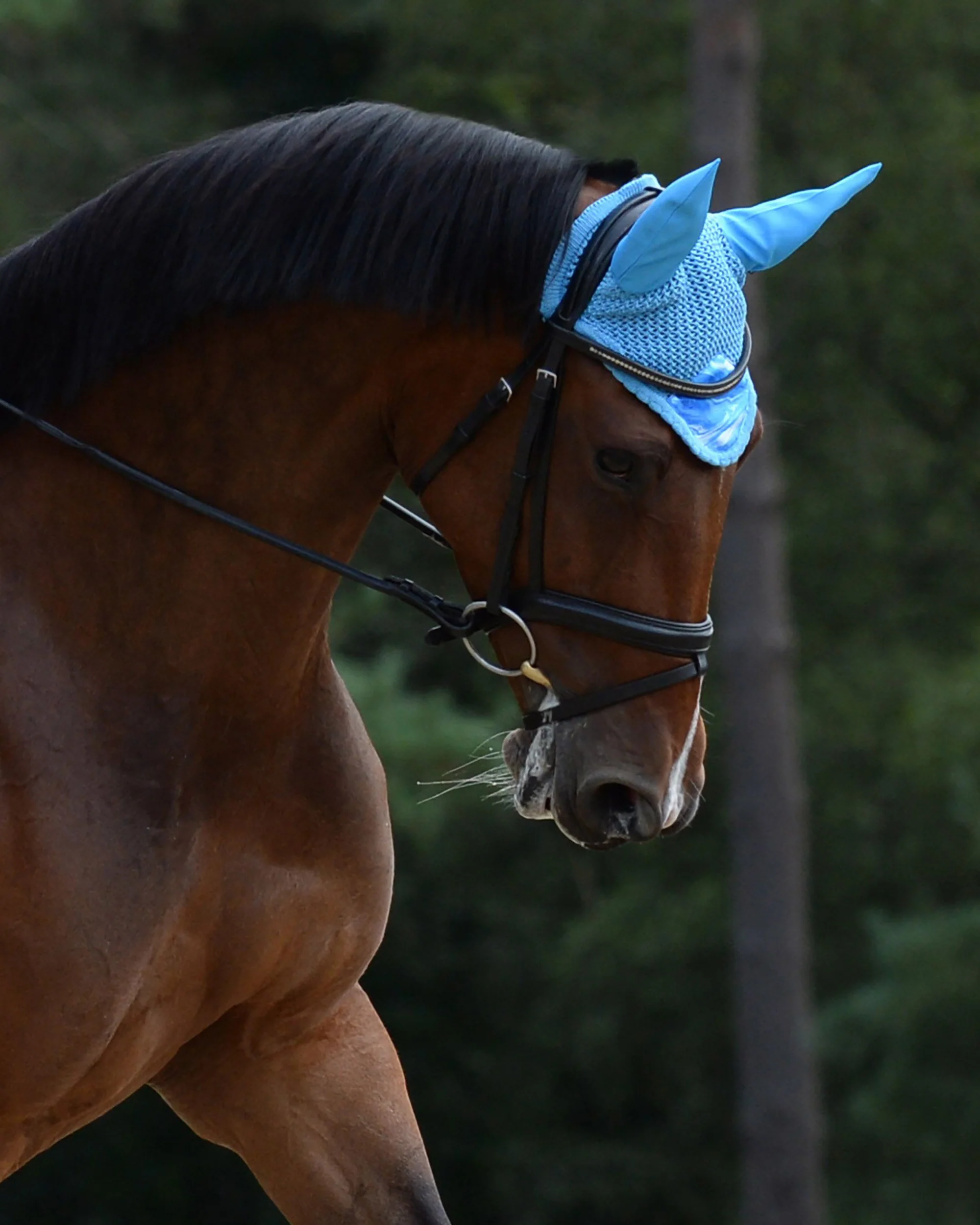 WeatherBeeta® Prime Marble Ear Bonnet - Image 9