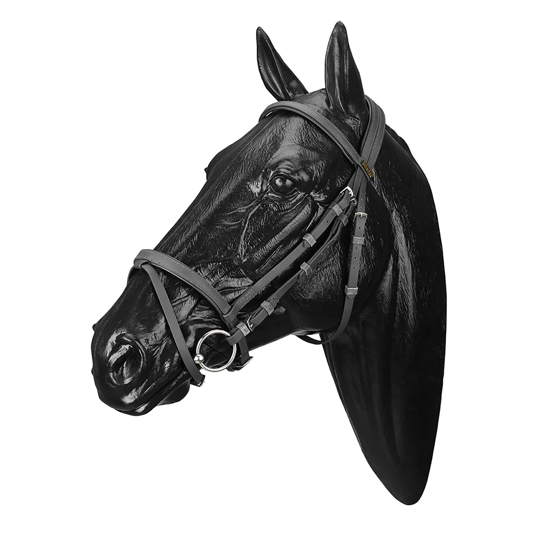 Wintec Bridle with Flash - Image 4